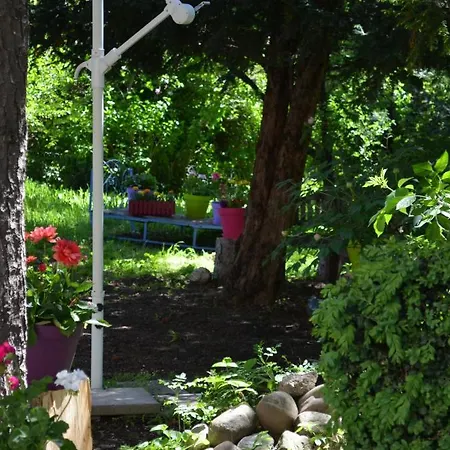 Les Trois Chardons Bleus Bed & Breakfast Gap