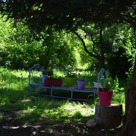 Les Trois Chardons Bleus Bed & Breakfast *