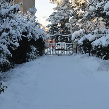 Bed & Breakfast Les Trois Chardons Bleus *